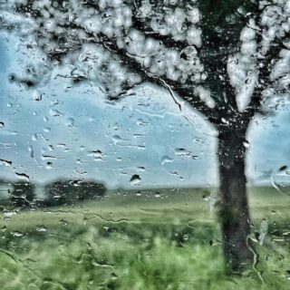 Tagregen 🌧️

.
.
.

#ohnefilter #photographyart #artphotographer #artphotography #abstractphotography #moodytoning #natureart #naturelove