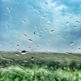 Tagregen 🌦️

.
.
.

#ohnefilter #photographyart #artphotographer #artphotography #abstractphotography #moodytoning #natureart