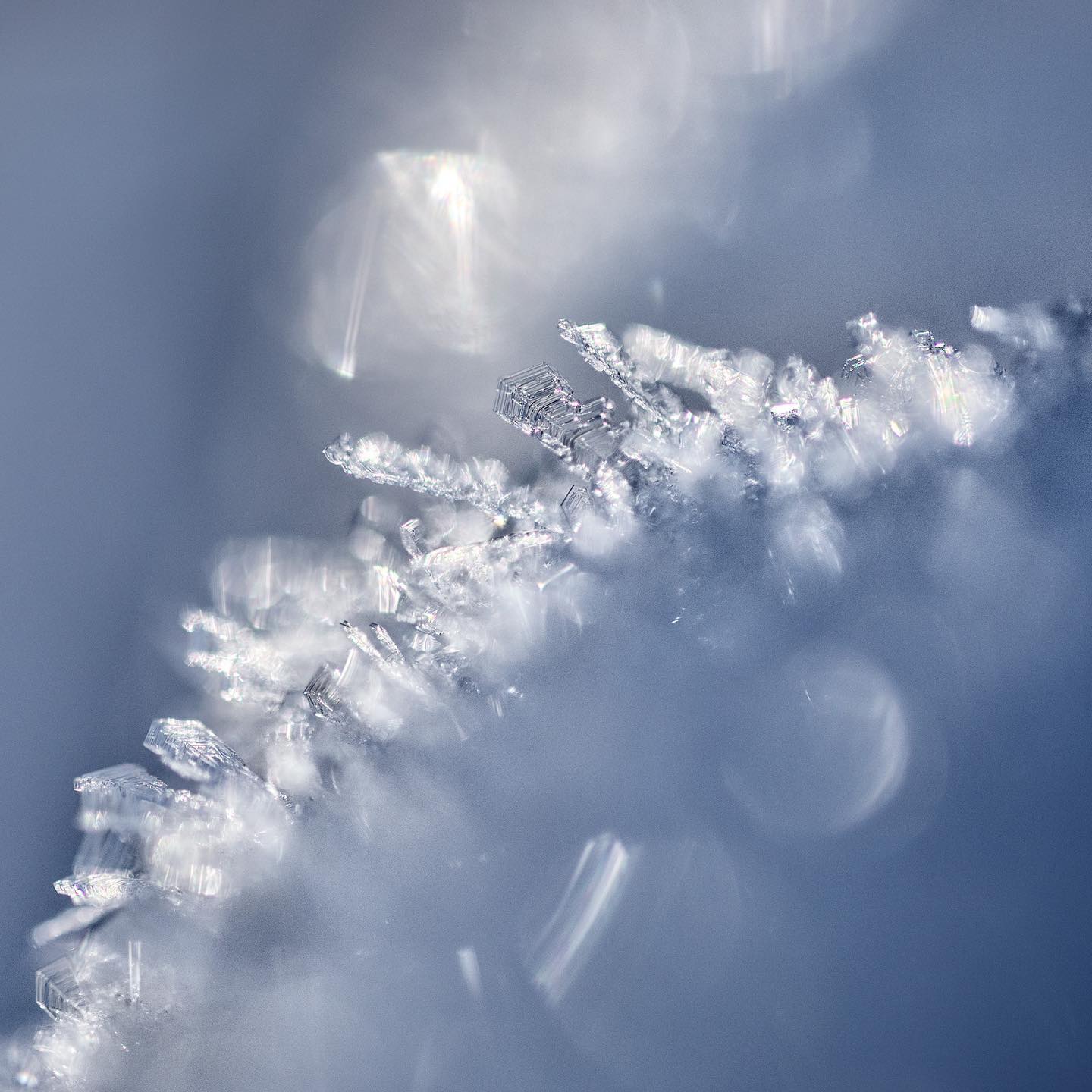 𝘍𝘳𝘰𝘴𝘵𝘪𝘨 𝘴𝘵𝘳𝘢𝘩𝘭𝘦𝘯𝘥𝘦𝘳 𝘈𝘯𝘣𝘭𝘪𝘤𝘬.
.
.
.
#macrophotography #macro #macrofotografie #eisblumen #iceflower #winterwonderland #frozen #gefroren