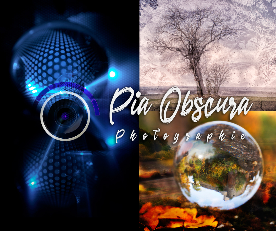 Einblick Ausstellung PiaObscura